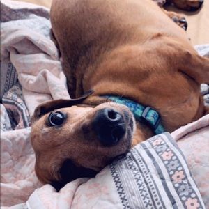 Meet your Posher, Rachael